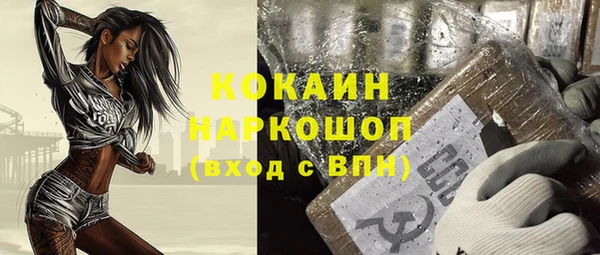 гидра Алексин