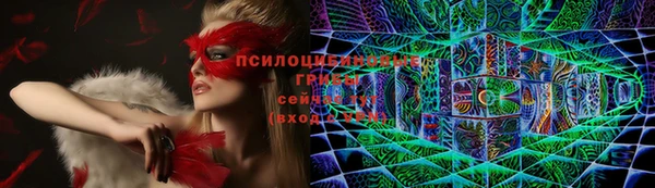 марки lsd Абаза