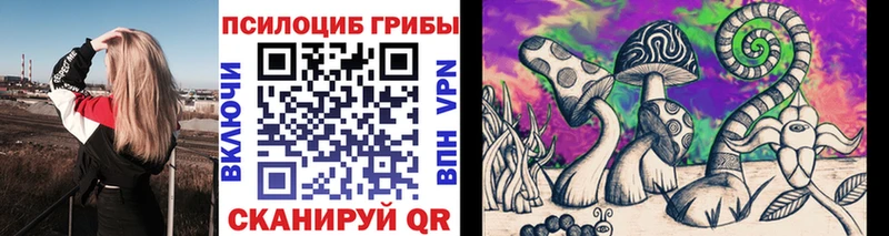 хочу Шадринск гидра рабочий сайт Галлюциногенные грибы Psilocybine cubensis
